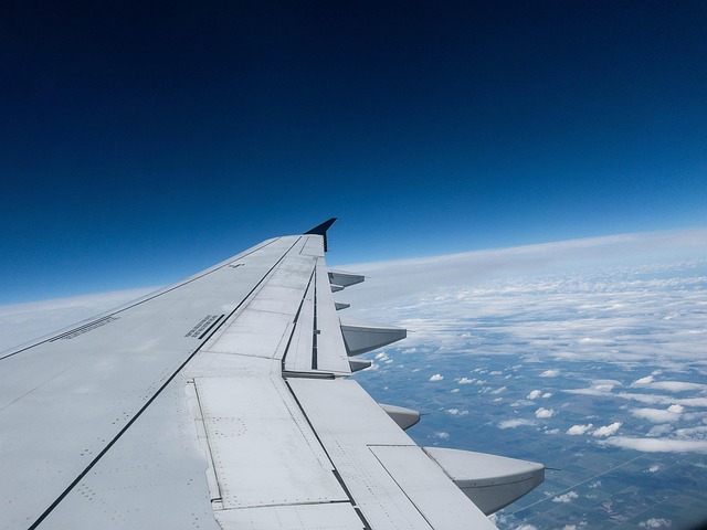 Fly, Himmel, Skyer, Blå, Rejse