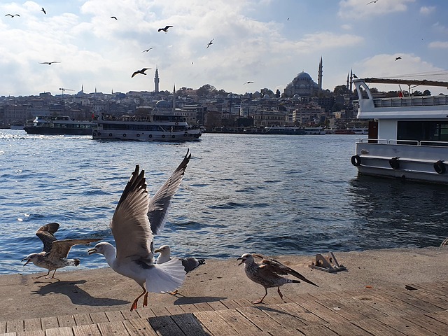 Free Istanbul Turkey photo and picture