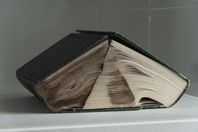 Free Book Museum photo and picture