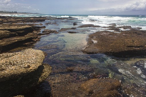 Free Beach Sea photo and picture