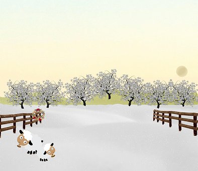 Free Sky Winter illustration and picture