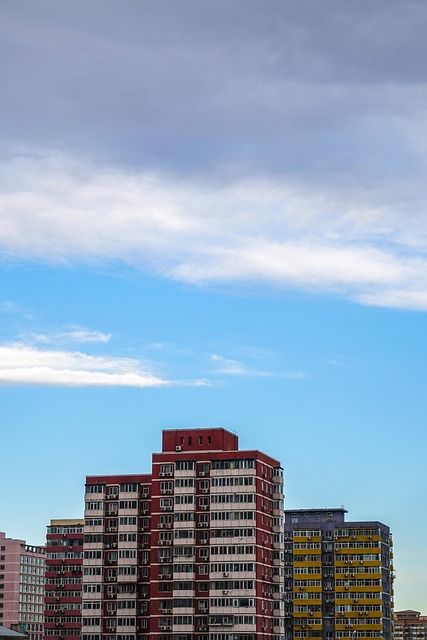 Free City Nature photo and picture