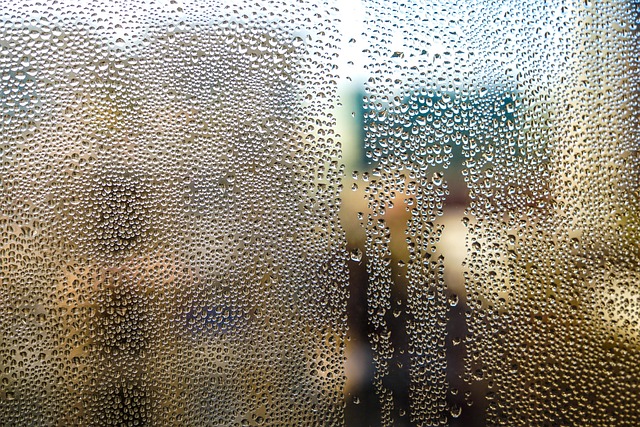 Free Glass Waterdrops photo and picture