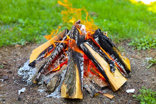 Free Wood Fire photo and picture
