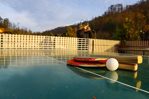 Free Table Tennis photo and picture