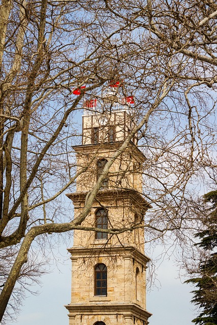Free Tower Fire Tower photo and picture