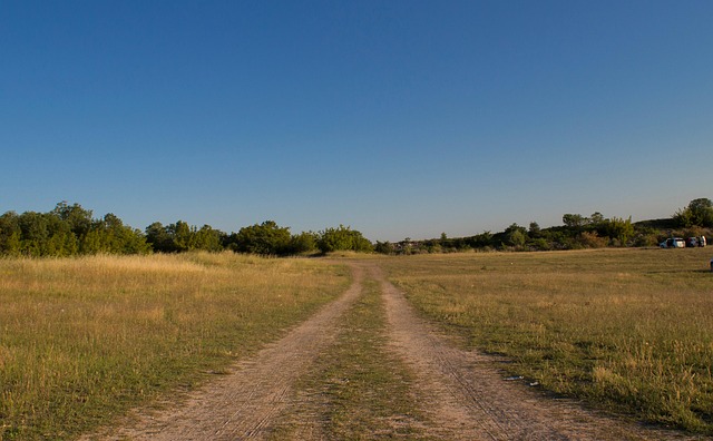 Free Path View photo and picture