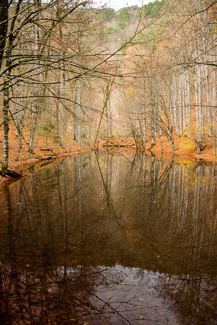 Free Goal Watery photo and picture
