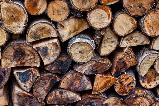 Free Wood Tree photo and picture