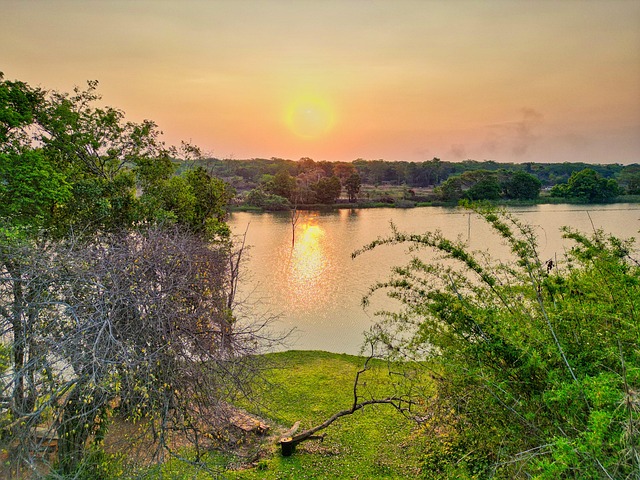 Free Africa Zambia photo and picture