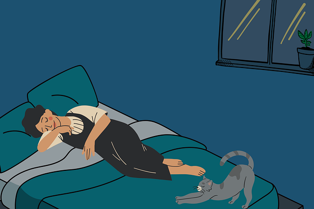 Free sleep sleep peacefully to dream illustration