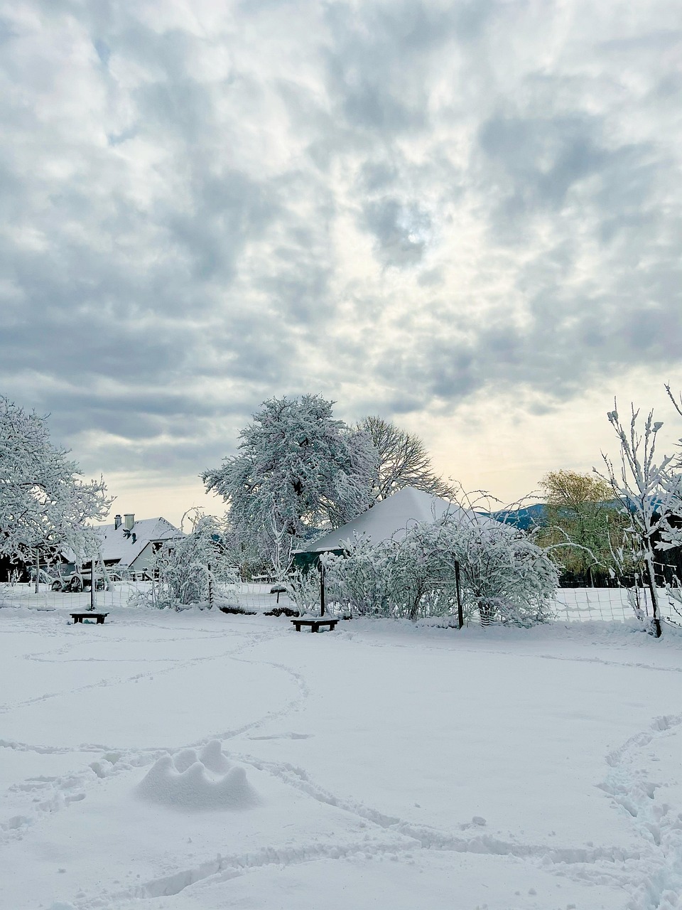 冬天 景观 - Pixabay上的免费照片 - Pixabay