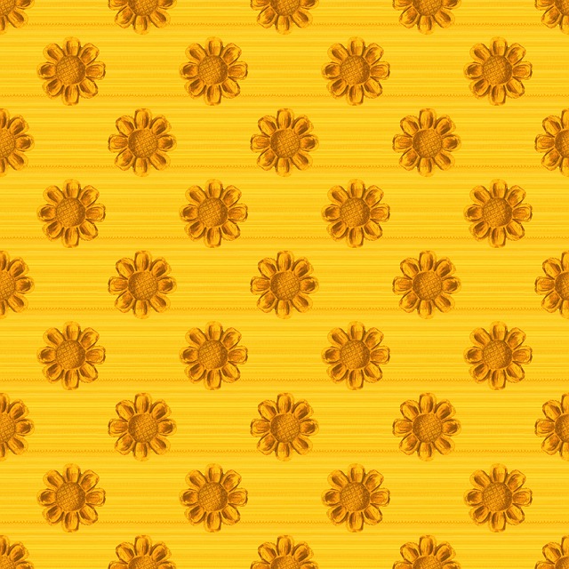 Free flowers sunflowers petals illustration