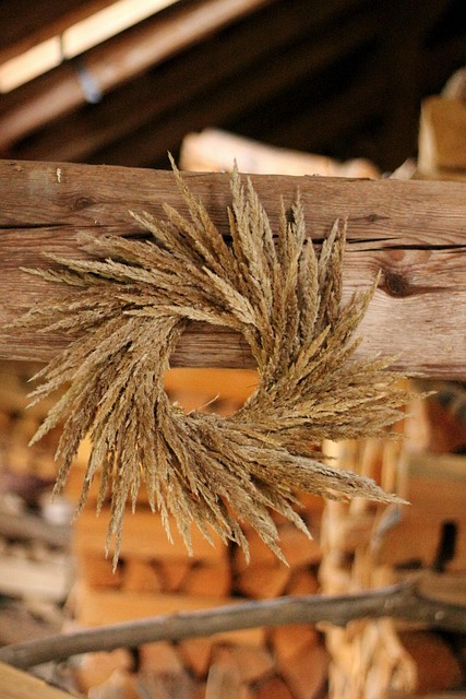 Ring, Krans, Natur, Græs, Orange