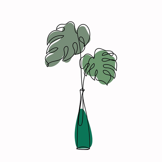Free plant monstera botanical illustration