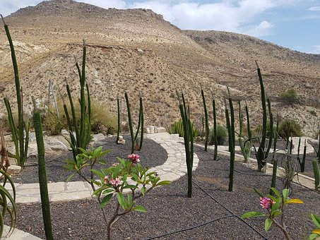 Free Almeria Andalusia photo and picture