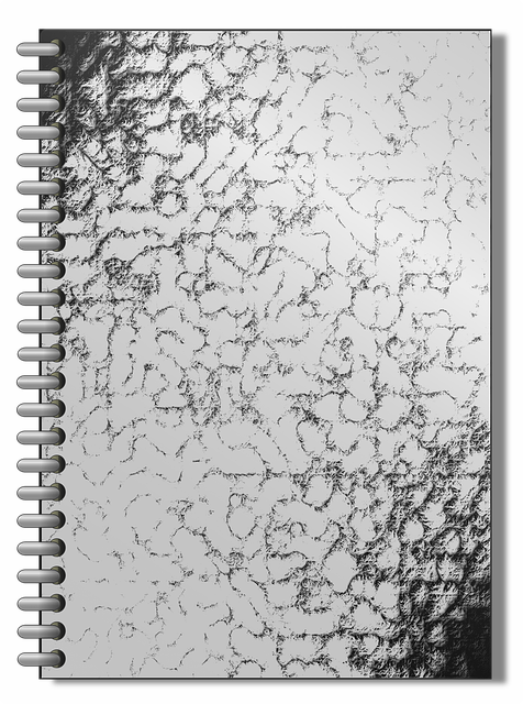 Livro, Livro Elegante, Caderno Pessoal