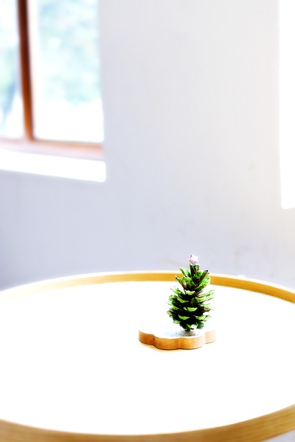 Free Christmas Ornament photo and picture