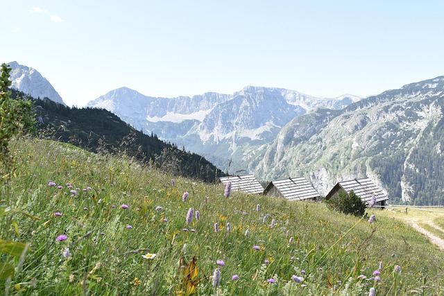 Free Mountain Nature photo and picture