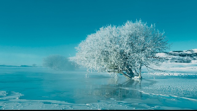 Free Osamu Minor Cold photo and picture