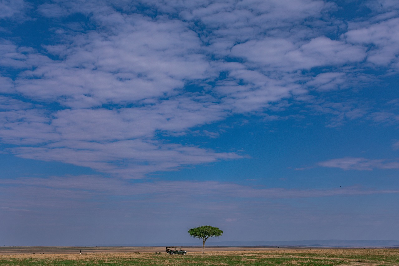 Lone Tree Animal Safari Photo gratuite sur Pixabay Pixabay