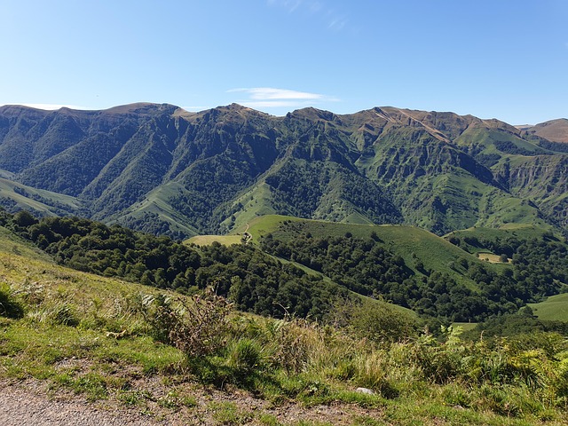 Free Ridge Forest photo and picture