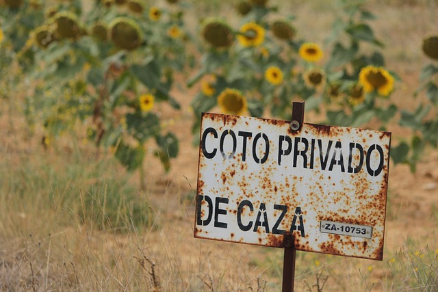 Free Warning Sign Spain photo and picture