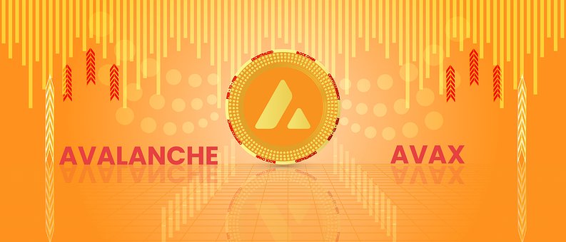 Lawine, Avax, Cryptogeld, Blockchain