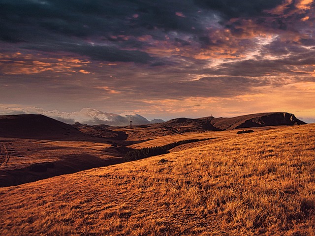 Free Grass Fields photo and picture