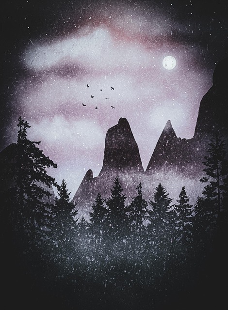 Free rocks dark nature illustration