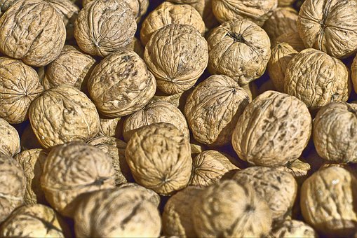 Free Walnuts Food photo and picture