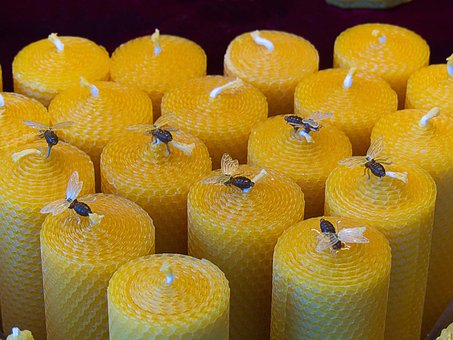Free Candles Honey photo and picture