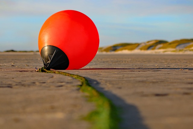 Free Amrum Island photo and picture