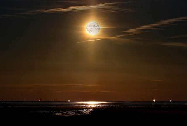 Free Amrum North Friesland photo and picture