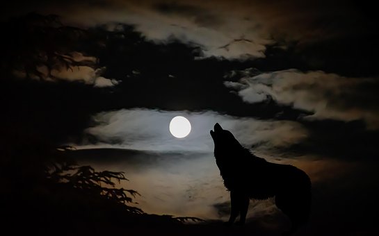 Hombre-Lobo, Fantasía, Clamoroso, Cielo