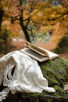Free Autumn Nature photo and picture