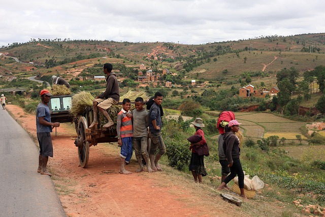 Madagaskar, Feltarbejde, Familie
