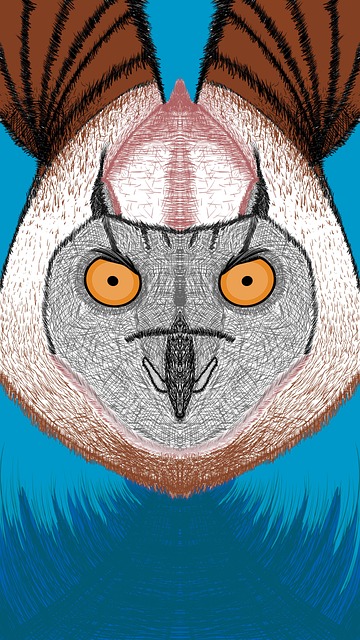 Owl Wild Predatory - Free photo on Pixabay - Pixabay