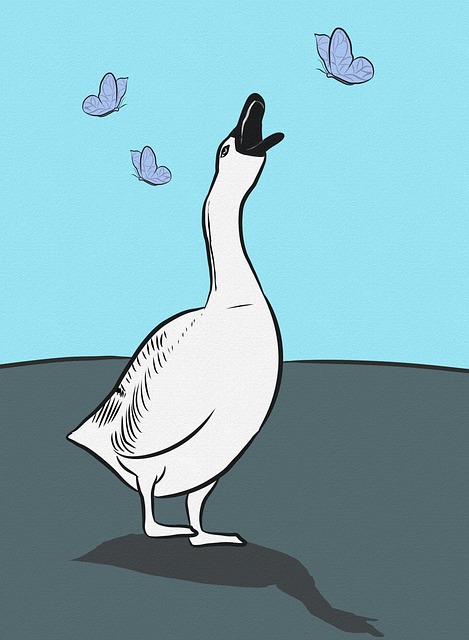 Free white goose goose nature illustration
