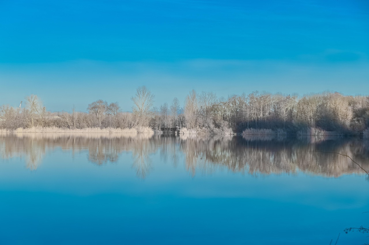 冬天 寒冷的 冬季景观 - Pixabay上的免费照片 - Pixabay