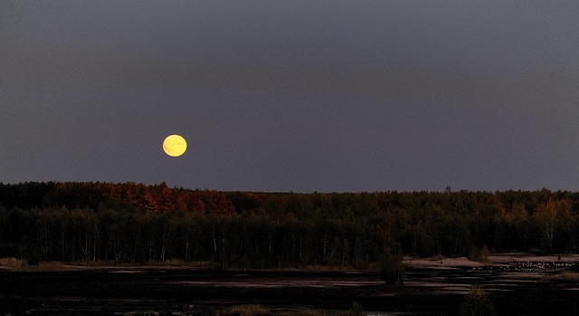Natur Måne, Kraniche, Eve