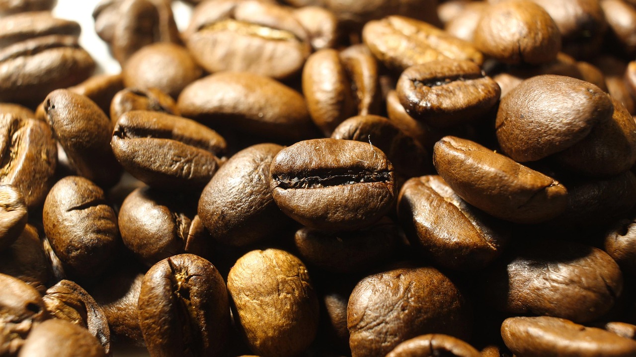 seeds-coffee-closeup-free-photo-on-pixabay