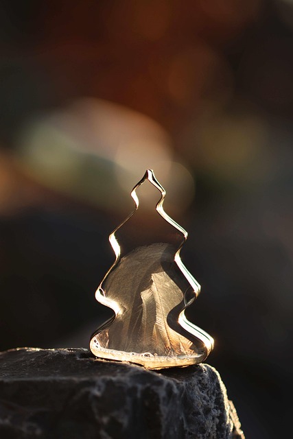 Free Christmas Advent photo and picture