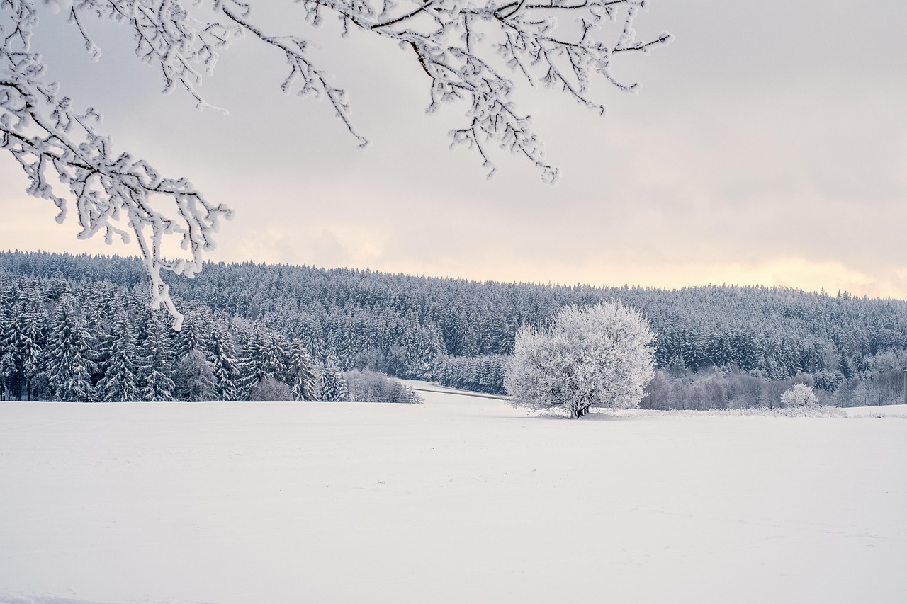 200 000 Free Sunset Winter Winter Images Pixabay