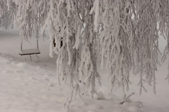 Winter, Schnee, Kalt, Natur, Landschaft