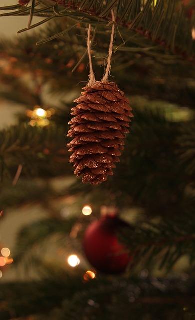 Free Christmas Christmas Decorations photo and picture