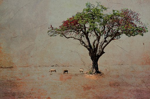 Træ, Natur, Fine Kunst, Maleri