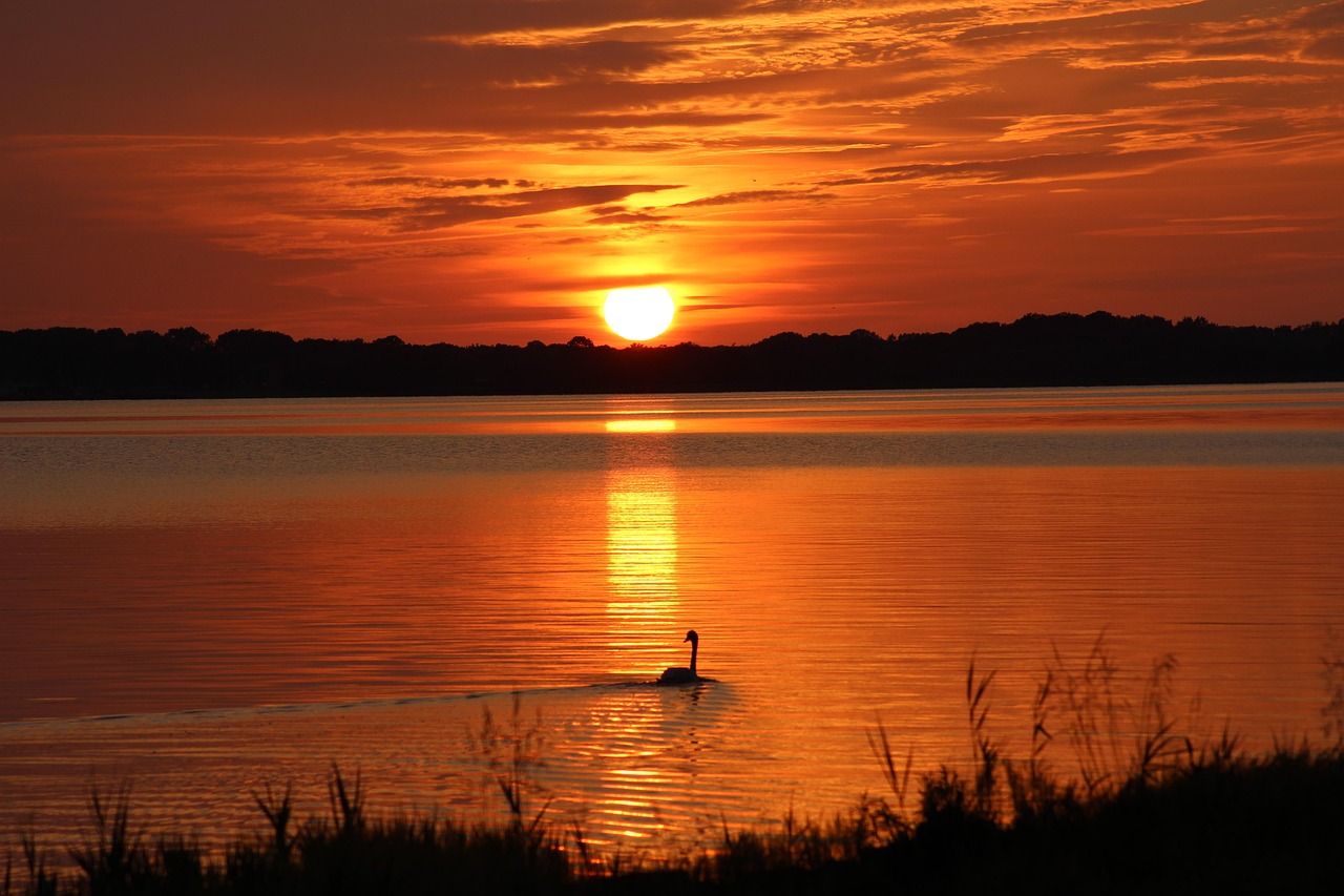 Scan Sea Sunset - Free photo on Pixabay - Pixabay