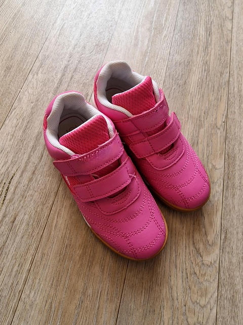 Free Sneakers Shoes photo and picture