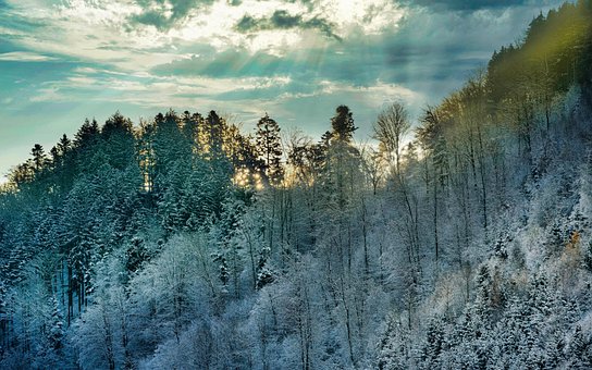 20 + 무료 눈 햇살 & 햇살 이미지 - Pixabay